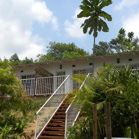 Bush Baby Glen Villa Hazyview Rum bild