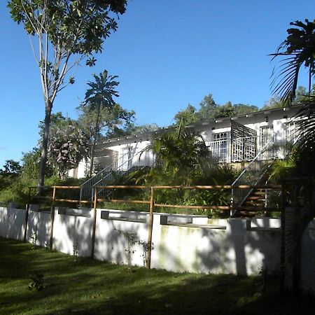 Bush Baby Glen Villa Hazyview Exteriör bild