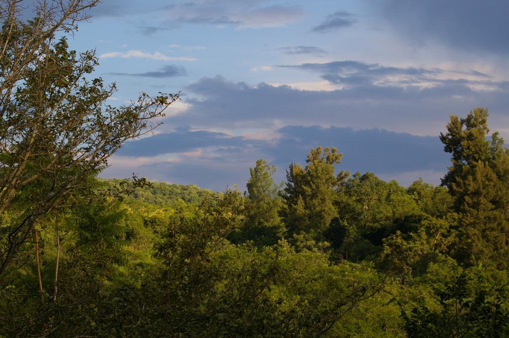 Bush Baby Glen Villa Hazyview Rum bild