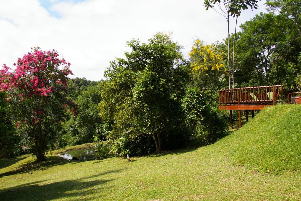 Bush Baby Glen Villa Hazyview Exteriör bild