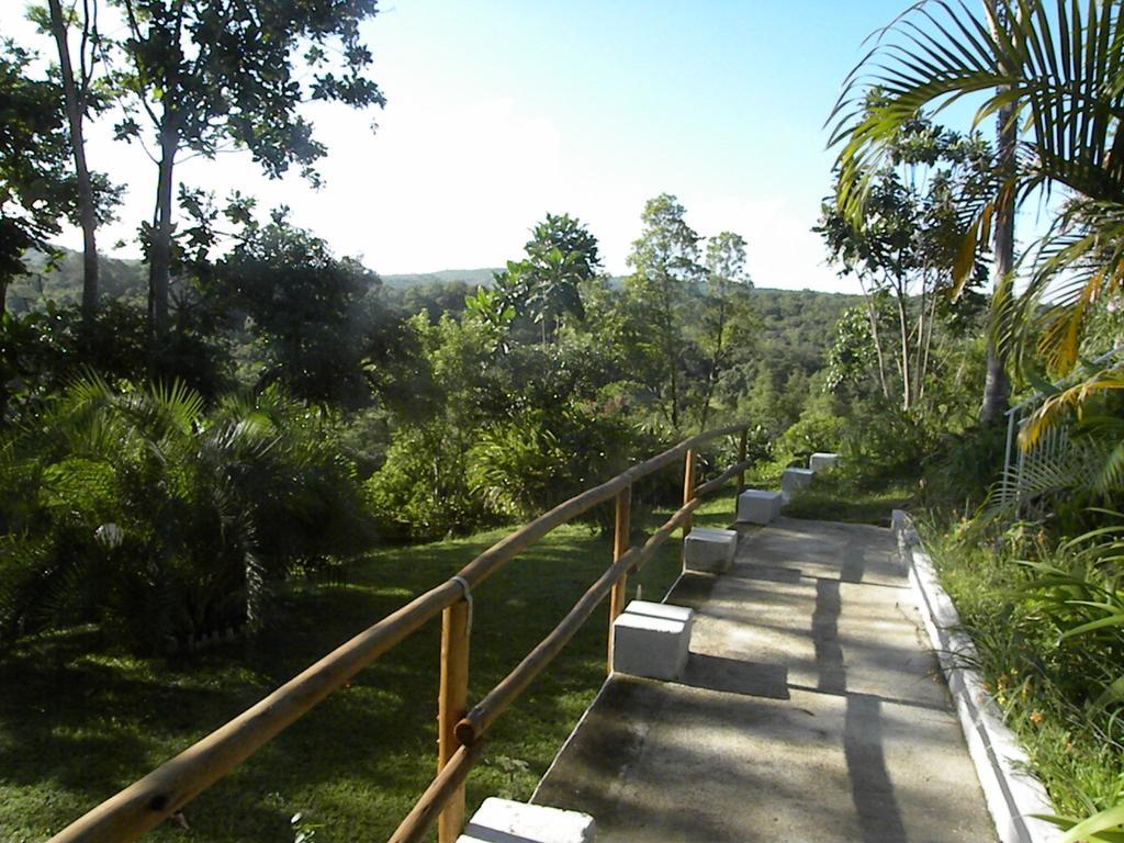Bush Baby Glen Villa Hazyview Exteriör bild