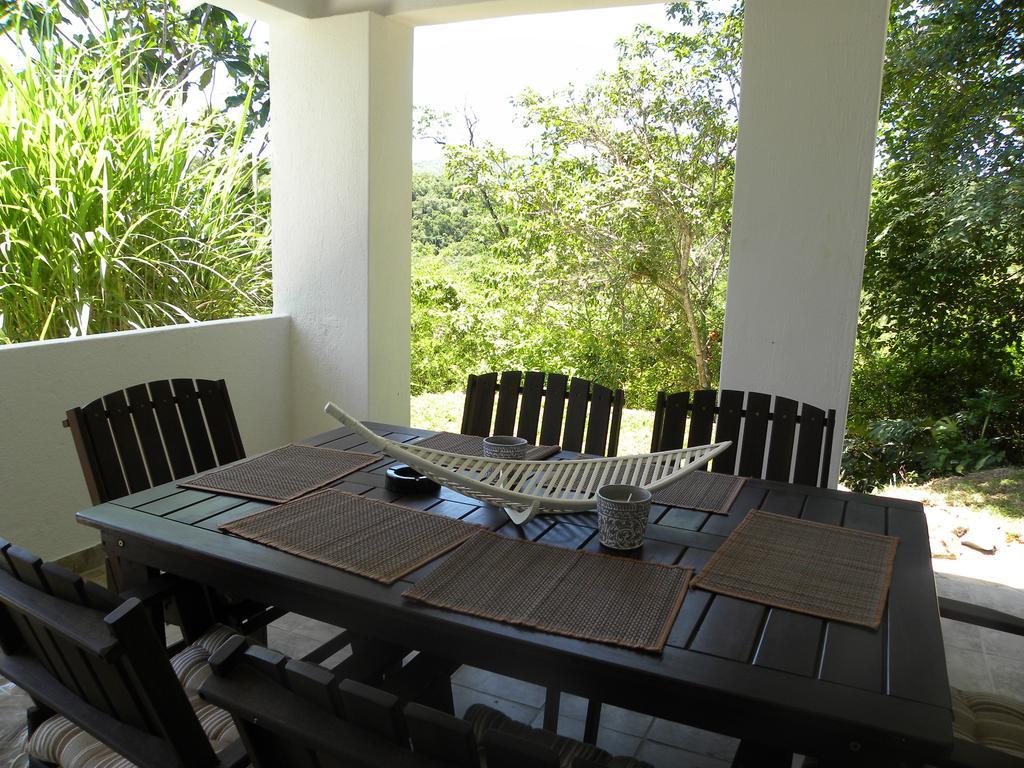 Bush Baby Glen Villa Hazyview Rum bild